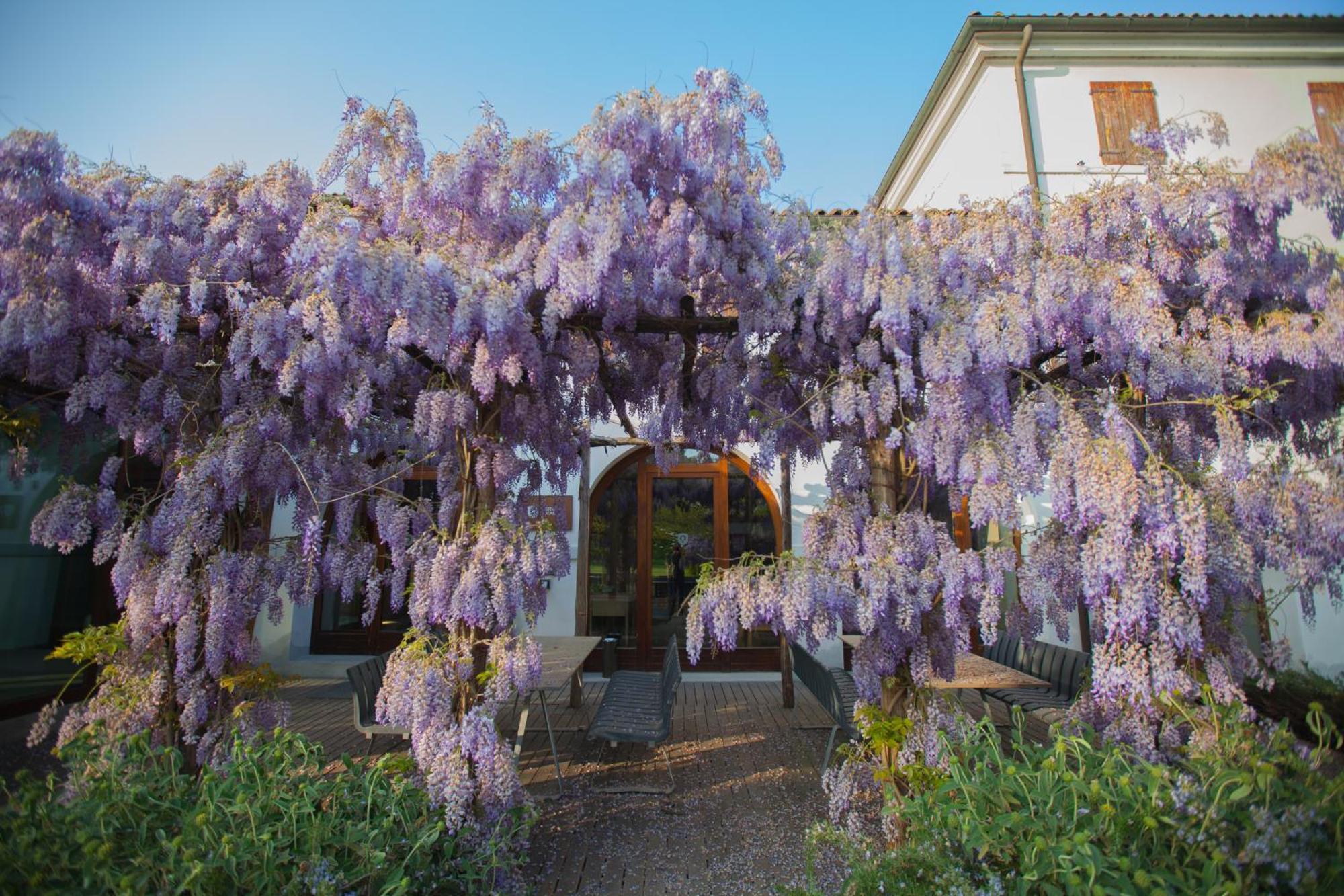 Farm House รอนคาเด ภายนอก รูปภาพ